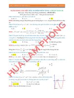 FB TN 01 LAMPHONG de01 s1 dapan 