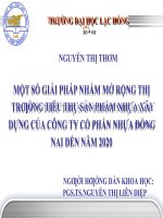 Một số giải pháp nhằm mở rộng thị trường tiêu thụ sản phẩm nhựa xây dựng của công ty cổ phần nhựa đồng nai đến năm 2020 