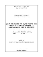 QUẢN TRỊ rủi RO tín DỤNG TRONG CHO VAY đảm bảo BẰNG tài sản tại AGRIBANK CHI NHÁNH hải CHÂU 