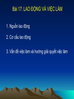 Bai 17 lao dong va viec lam88 
