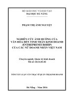 Nghiên cứu ảnh hưởng của văn hóa đến tinh thần kinh doanh (entrepreurship) của các nữ doanh nhân việt nam 