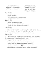 Đề thi học kỳ I môn Vật lý lớp 10 trường THPT Đông Du, TP.HCM năm học 2015 - 2016