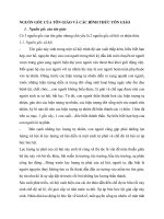 Nguồn gốc và các hình thức tôn giáo