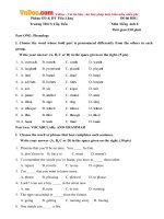 Đề thi học sinh giỏi môn Tiếng Anh lớp 8 THCS Cấp Tiến, Tiên Lãng, Hải Phòng năm học 2016 - 2017