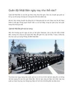 Quân đội nhật bản ngày nay như thế nào 