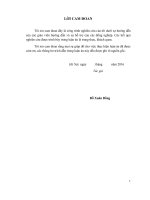 Nghiên cứu chế tạo xúc tác cho quá trình chuyển hóa khí tổng hợp (CO + h2) thành nhiên liệu lỏng sử dụng chất mang là các vật liệu đa mao quản