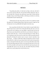 Nghiên cứu công nghệ sản xuất rượu vang từ quả dứa