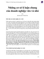 Những cơ sở lí luận chung của doanh nghiệp vừa và nhỏ