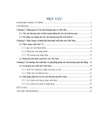 TIỂU LUẬN VỀ ĐÁNH GIÁ TÌNH HÌNH XUẤT SIÊU VIỆT NAM