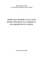 tìm hiểu về các loài bướm ở vườn quốc gia Tam Đảo