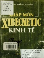 Nhập môn xibecnetic kinh tế  nguyễn cao văn 