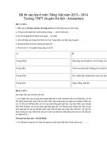 Đề thi vào lớp 6 môn Tiếng Việt năm 2013 Ams