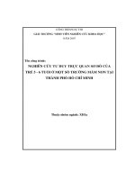 NGHIÊN CỨU TƯ DUY TRỰC QUAN SƠ ĐỒ CỦA TRẺ 5 - 6 TUỔI Ở MỘT SỐ TRƯỜNG MẦM NON TẠI THÀNH PHỐ HỒ CHÍ MINH