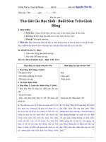 Giáo án buổi chiều lớp 5 môn tập đọc phân hoá đối tượng (chi tiết) 