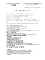 MẪU hợp ĐỒNG LAO ĐỘNG THEO LUẬT mới NHẤT năm 2017doc 