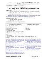 Giáo án buổi chiều lớp 2 môn tập đọc phân hoá đối tượng (chi tiết)