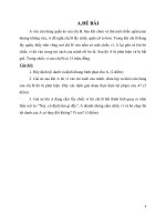 bài tập học kỳ luật hình sự Việt Nam