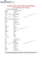 Từ vựng về cây và hoa