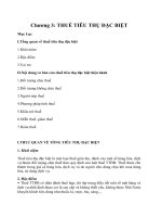 Tiểu luận Thuế tiêu thụ đặc biệt