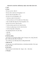 Nội dung chương trình học trẻ Mầm non kết hợp giữa Montessori và giáo dục truyền thống