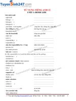 TỪ VỰNG TIẾNG ANH LỚP 12
