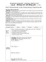 giáo án chủ đề động vật lớp 45 tuổi