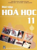 Bài tập hóa học 11 phần 1   nguyễn xuân trường (chủ biên) 