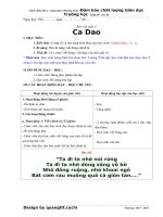 Giáo án buổi chiều lớp 2 môn chính tả phân hoá đối tượng (chi tiết)