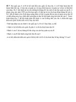 Bài tập cá nhân Môn Luật quốc tế Việt Nam