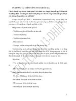 ĐỀ CƯƠNG TÀI CHÍNH CÔNG TY ĐA QUỐC GIA