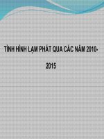 Tình hình lạm phát qua các năm 20102015
