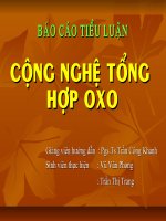 Báo Cáo Tiểu Luận Công Nghệ Tổng Hợp Oxo
