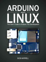 Arduino meets linux