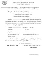 Đơn xin cấp lại bằng tốt nghiệp