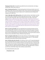 Kỹ thuật tiếp cận đa mô hình