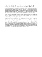 Vai trò của tổ chức phi chính phủ với mối quan hệ quốc tế