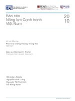 Bao cao Nang luc canh tranh Viet Nam 2010 (V)--CIEM, LKY-2016-05-19-09350925