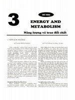 Giáo trình tiếng anh sinh học (tập 1) phần 2 