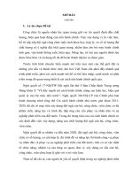 Xây dựng cơ cấu chức danh theo vị trí việc làm trong các cơ quan chuyên môn cấp tỉnh, cấp huyện tỉnh Quảng Trị