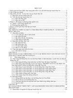 3.bao cao tom tat QHTL Nam Dinh