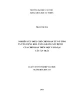 NGHIÊN CỨU ĐIỀU CHẾ CHITOSAN TỪ VỎ TÔM VÀ ỨNG DỤNG KHẢ NĂNG KHÁNG SÂU BỆNH  CỦA CHITOSAN TRÊN MỘT VÀI LOẠI  CÂY ĂN TRÁI