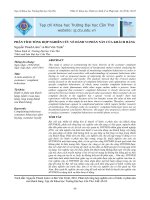 PHÂN TÍCH TỔNG HỢP NGHIÊN CỨU VỀ HÀNH VI PHÀN NÀN CỦA KHÁCH HÀNG