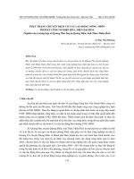 THỰC TRẠNG CHUYỂN DỊCH CƠ CẤU LAO ĐỘNG NÔNG THÔN THỜI KỲ CÔNG NGHIỆP HÓA, HIỆN ĐẠI HÓA