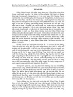 Quy hoạch phát triển ngành Thương mại tỉnh Đồng Tháp đến năm 2020