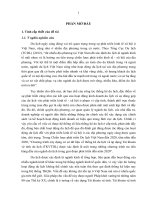 Tiểu luận nghiên cứu ứng dụng tài khoản vệ tinh du lịch ở cấp tỉnh, thành phố (minh họa tại thừa thiên huế) 