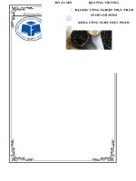 Đồ án môn học phân tích thực phẩm hạt mè