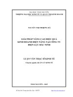 Giải pháp nâng cao hiệu quả kinh doanh điện năng tại công ty điện lực bắc ninh 