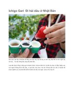 Du lịch nhật bản ichigo gari  đi hái dâu ở nhật bản 