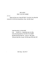 Đề cương sửa lần 2