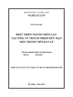 Phát triển nguồn nhân lực tại công ty trách nhiệm hữu hạn một thành viên đan lê